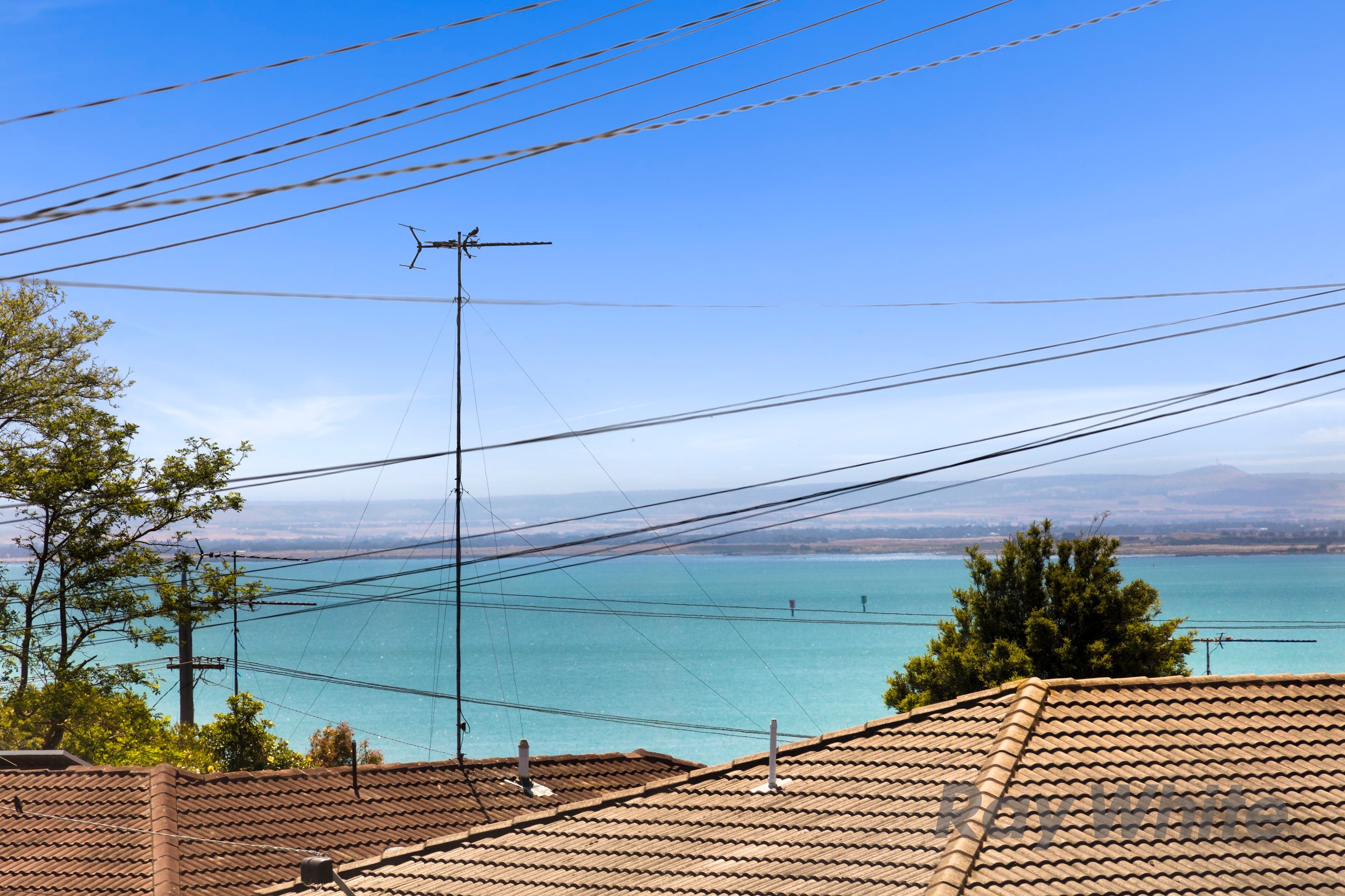 14 Thamballina Road, Clifton Springs VIC 3222, Clifton Springs - Thumbnail 3