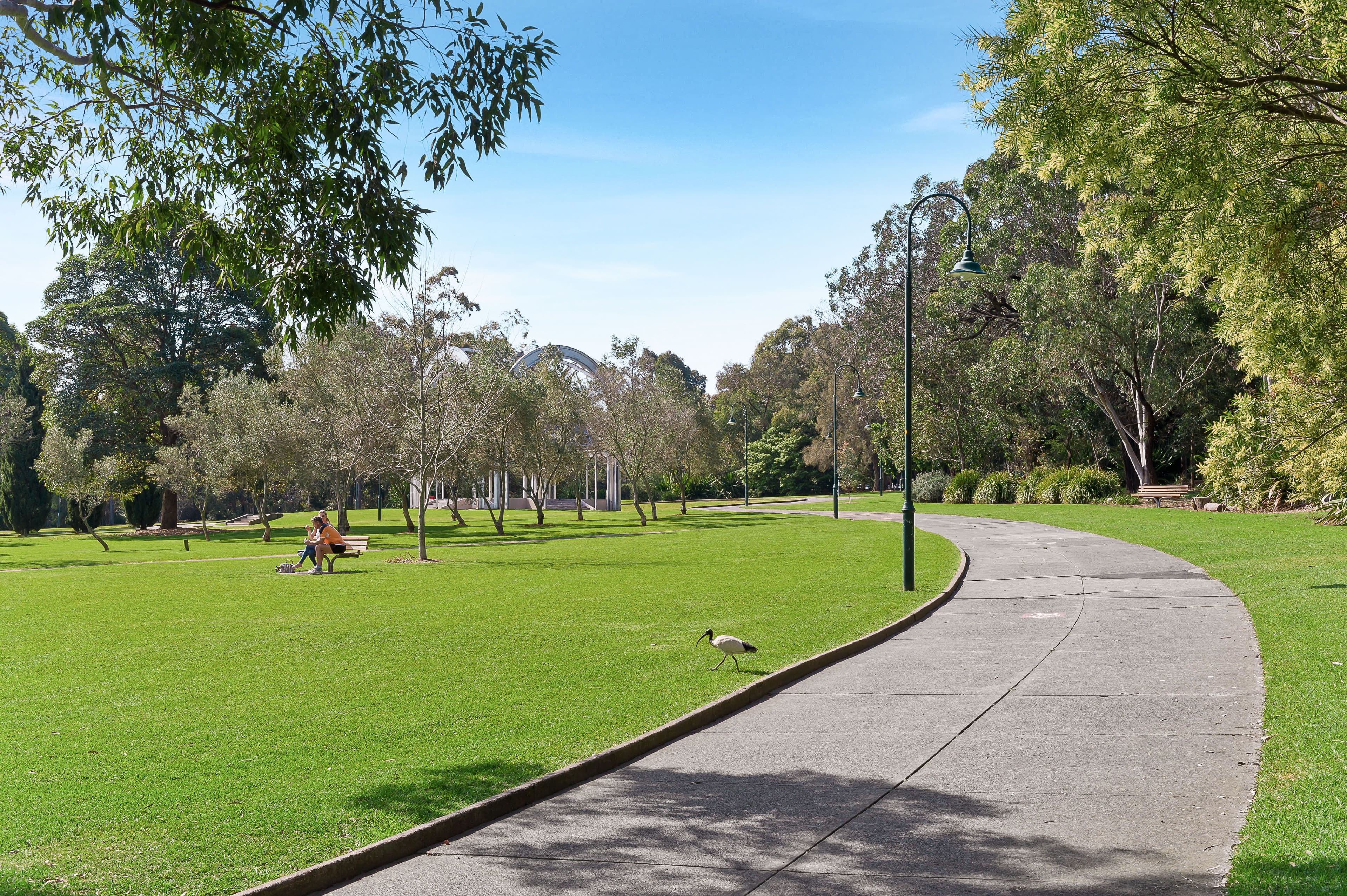 215 Norton Street, Leichhardt NSW 2040, Leichhardt - Thumbnail 7