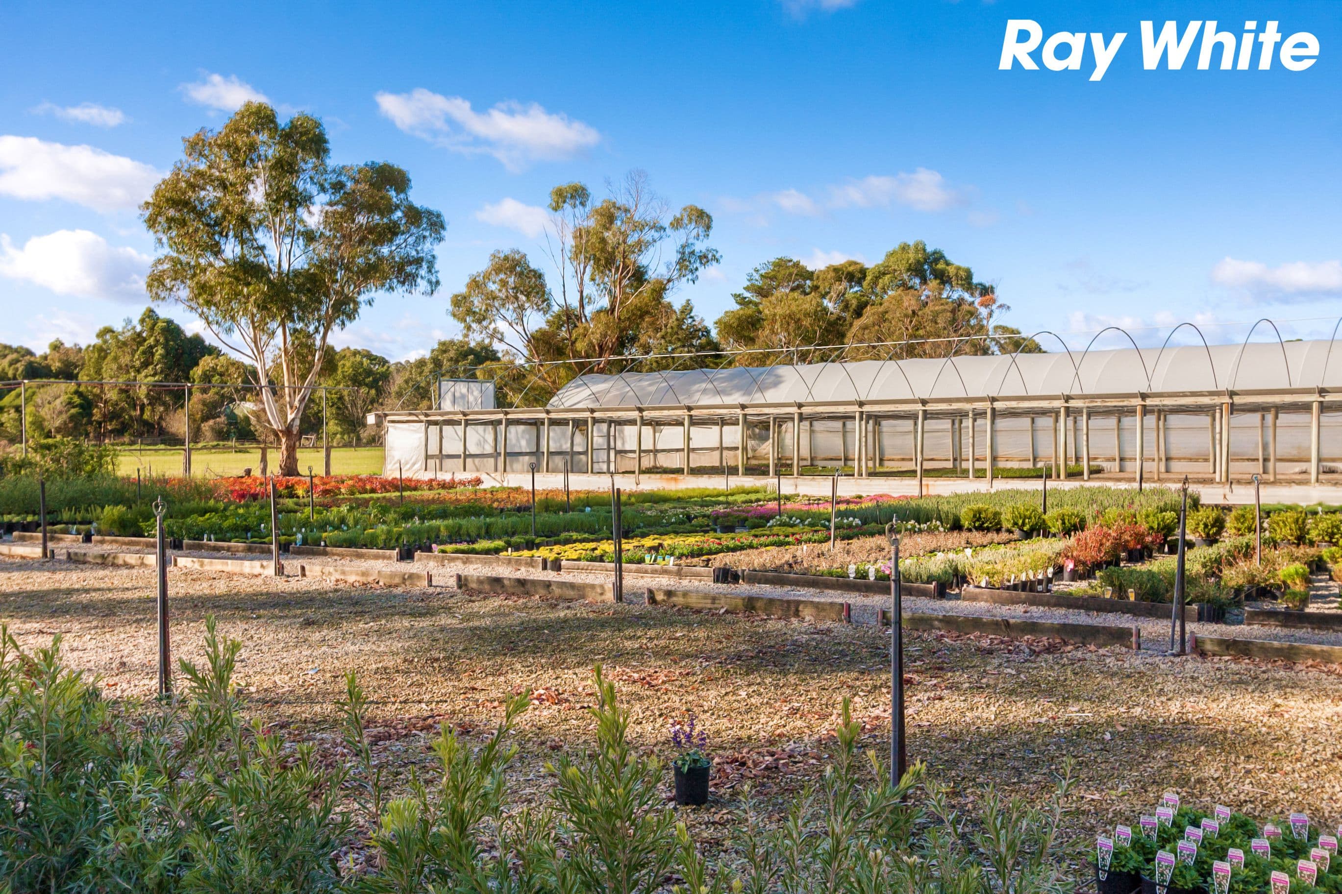 4 Mayfield Road, Cranbourne East VIC 3977, Cranbourne East - Thumbnail 5