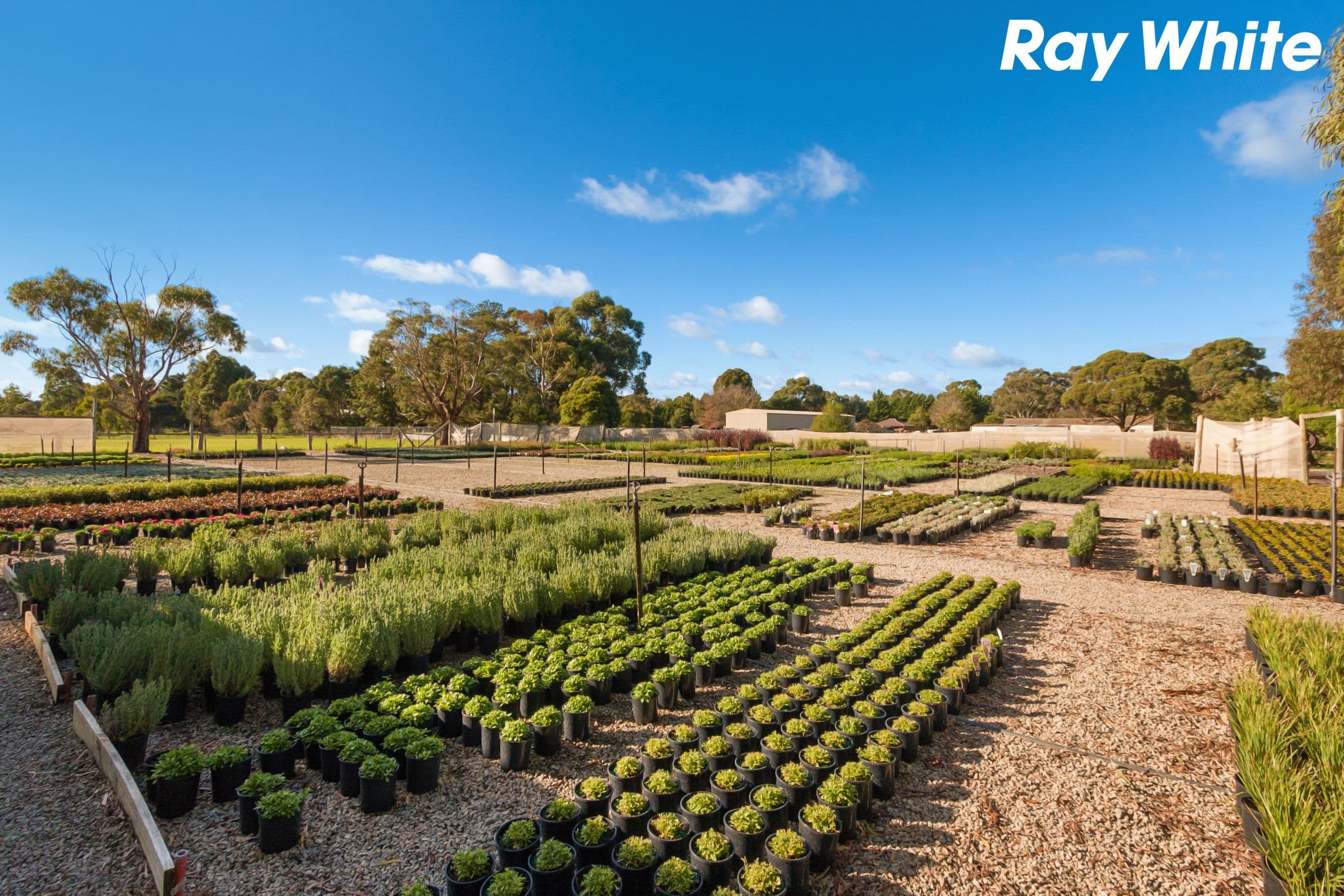 4 Mayfield Road, Cranbourne East VIC 3977, Cranbourne East - Thumbnail 7