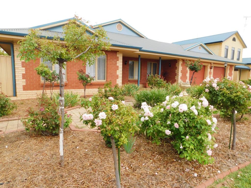 19 Haynes Street, Bordertown SA 5268, Bordertown - Image 1