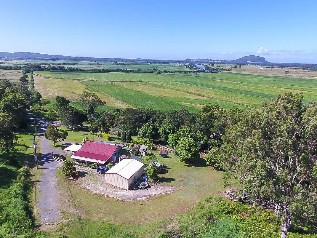 790 Yandina Bli Bli Road, Bli Bli QLD 4560, Bli Bli - Image 1