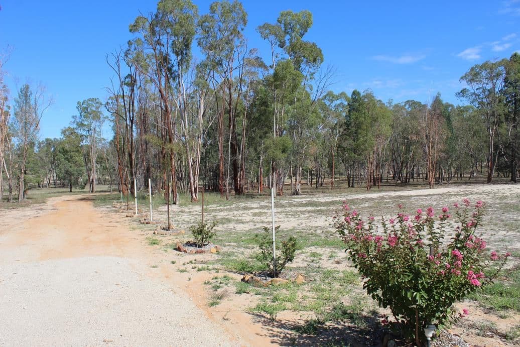 28 Fairford Road, Warialda NSW 2402, Warialda - Thumbnail 2