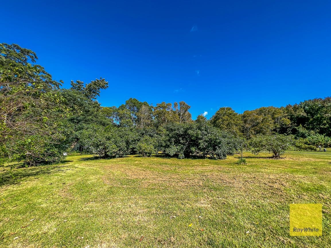 328 Long Road, Tamborine Mountain QLD 4272, Tamborine Mountain - Image 1