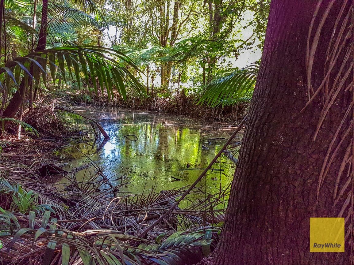 328 Long Road, Tamborine Mountain QLD 4272, Tamborine Mountain - Thumbnail 2