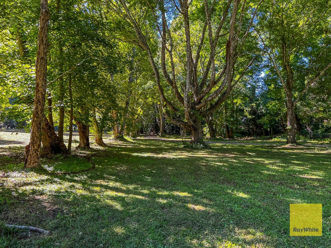 328 Long Road, Tamborine Mountain QLD 4272, Tamborine Mountain - Thumbnail 5