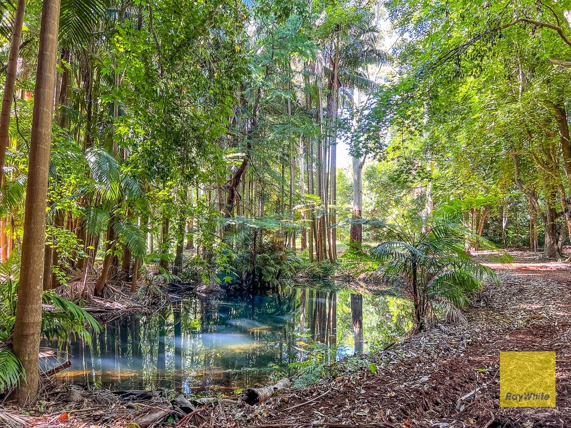 328 Long Road, Tamborine Mountain QLD 4272, Tamborine Mountain - Thumbnail 7