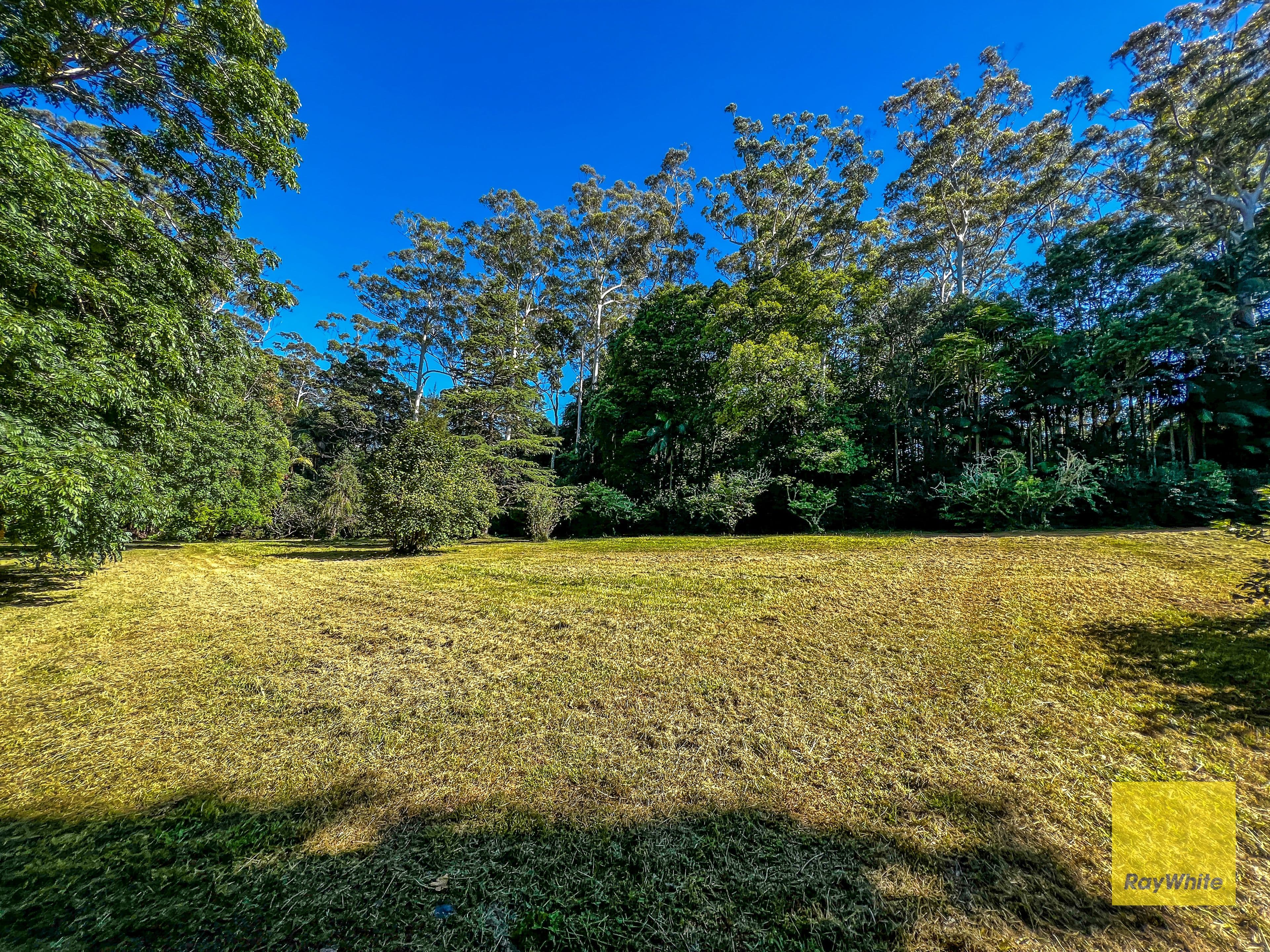 328 Long Road, Tamborine Mountain QLD 4272, Tamborine Mountain - Thumbnail 8