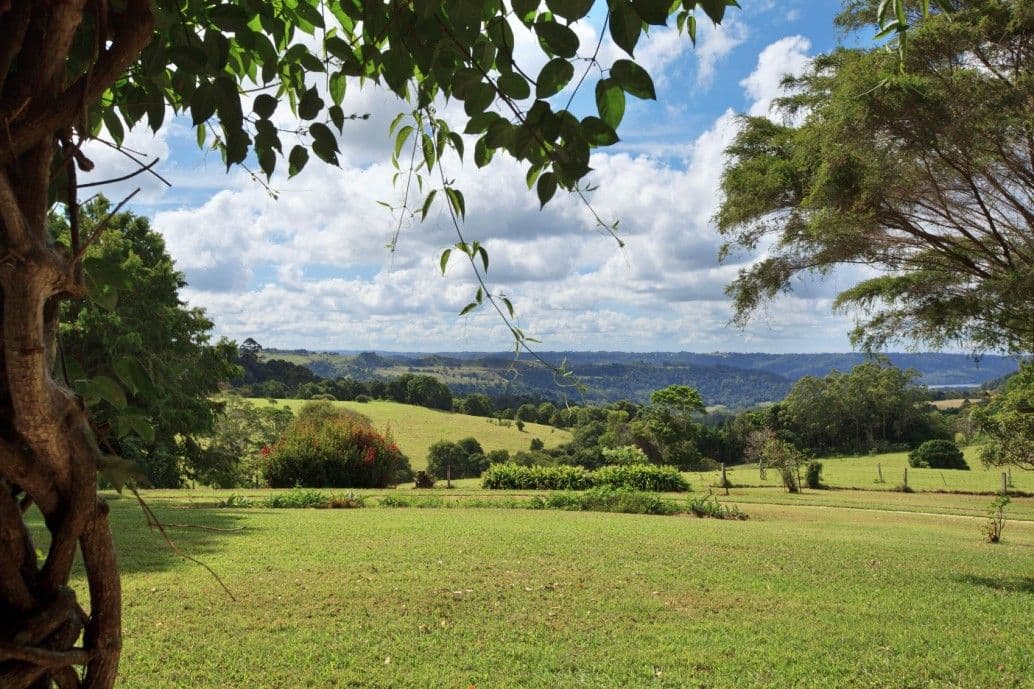 104 Macadamia Drive, MALENY QLD 4552, Maleny - Image 1