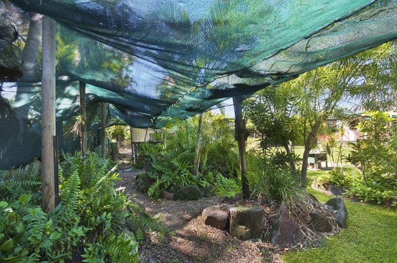 161 Palmerston Street, CURRAJONG QLD 4812, Currajong - Thumbnail 8