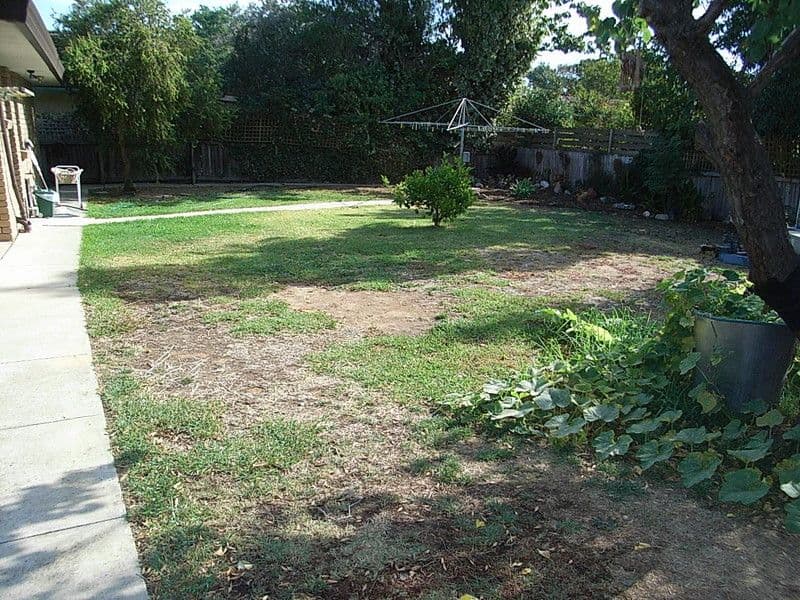10 Vines Street, ECHUCA VIC 3564, Echuca - Thumbnail 7