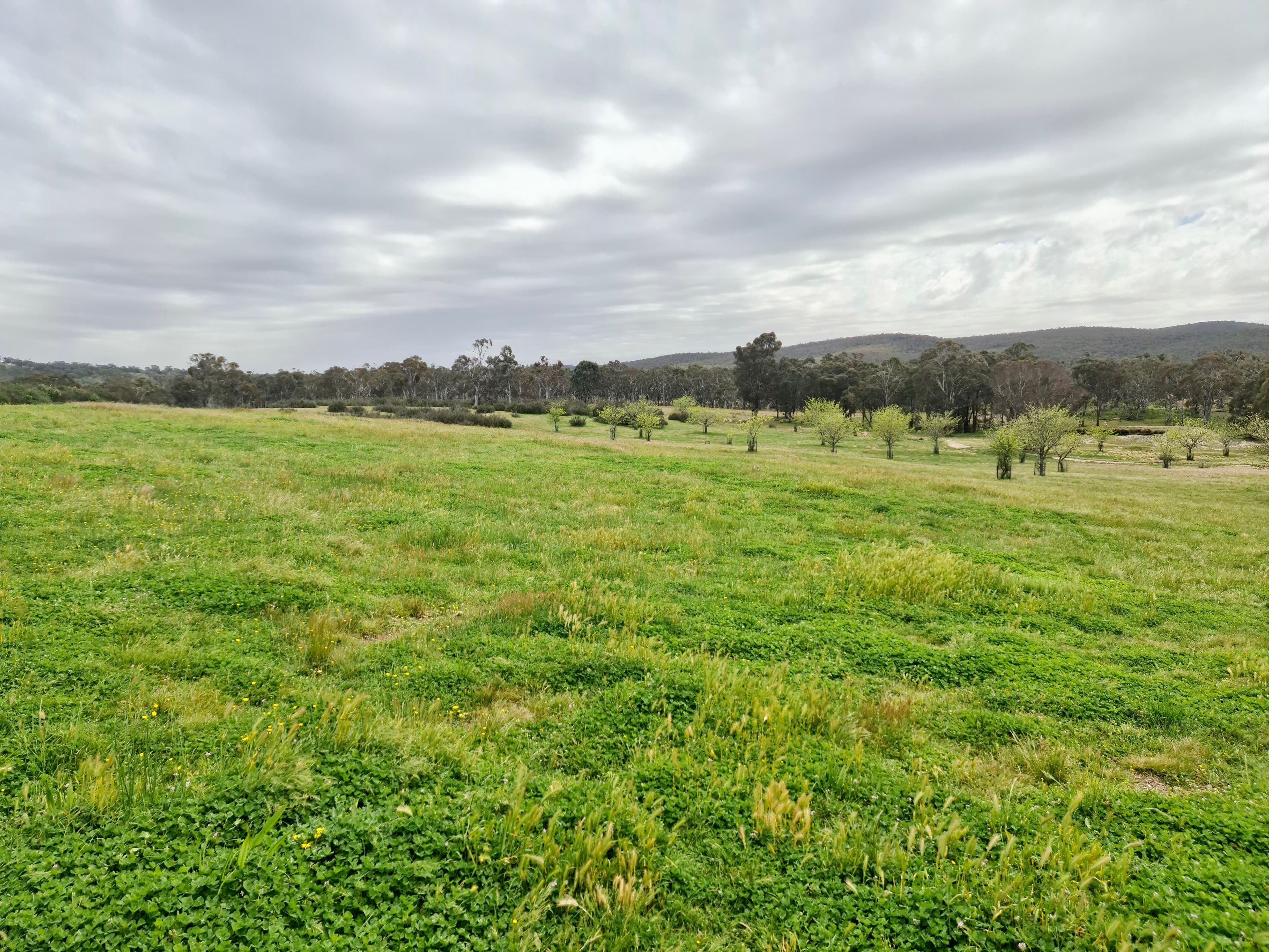 233 Brooks Creek Lane, Gundaroo NSW 2620, Gundaroo - Thumbnail 7