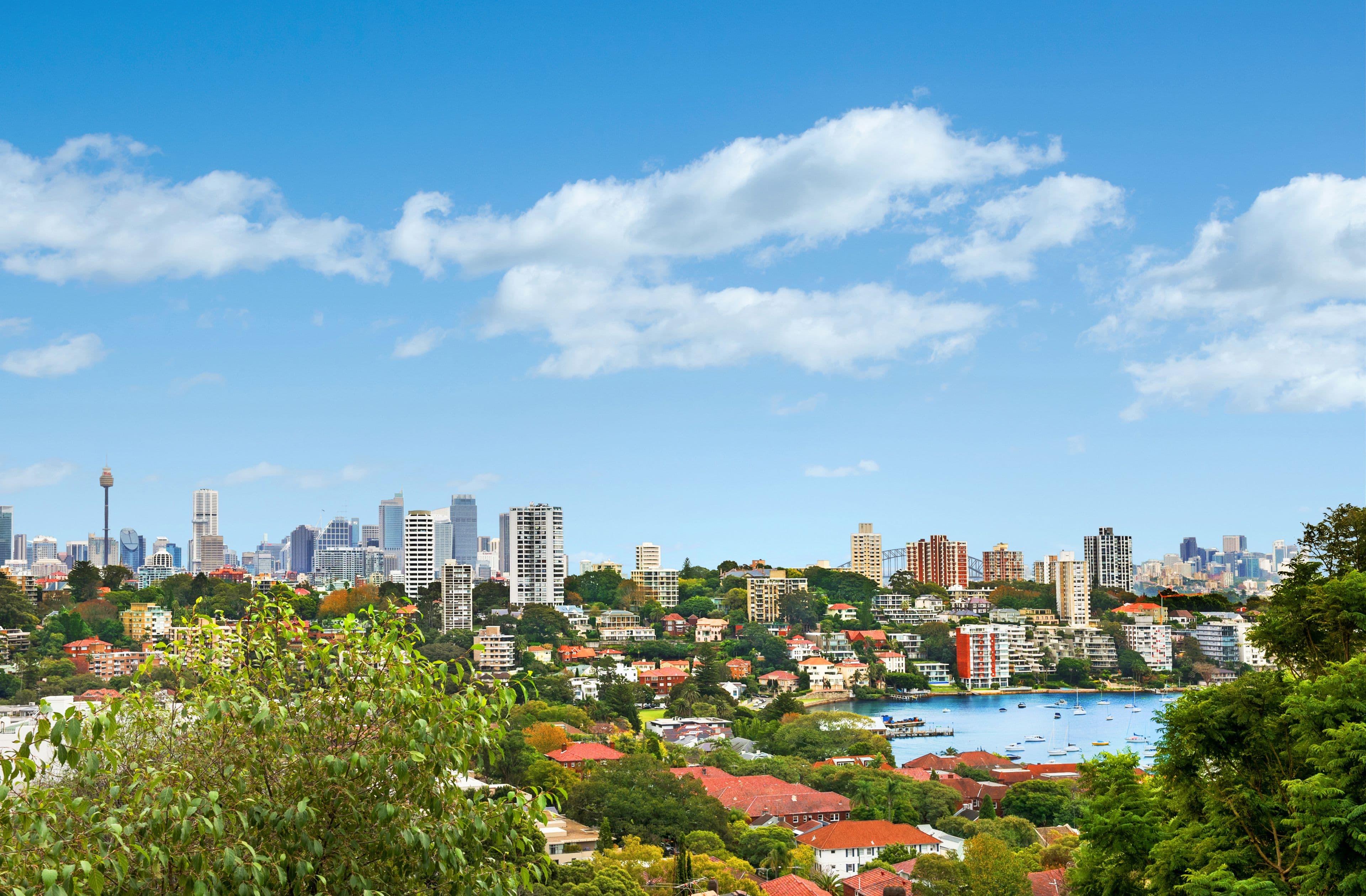 77 Bulkara Road, Bellevue Hill - Thumbnail 3