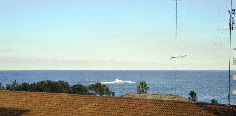 27 Arcadia Street, COOGEE NSW 2034, Coogee - Thumbnail 2