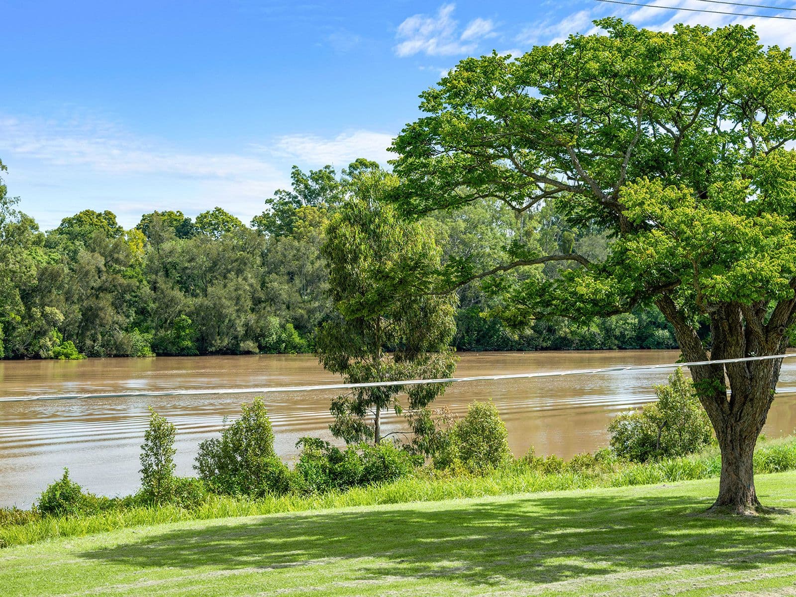 23 Esplanade, Yeronga QLD 4104, Yeronga - Thumbnail 6