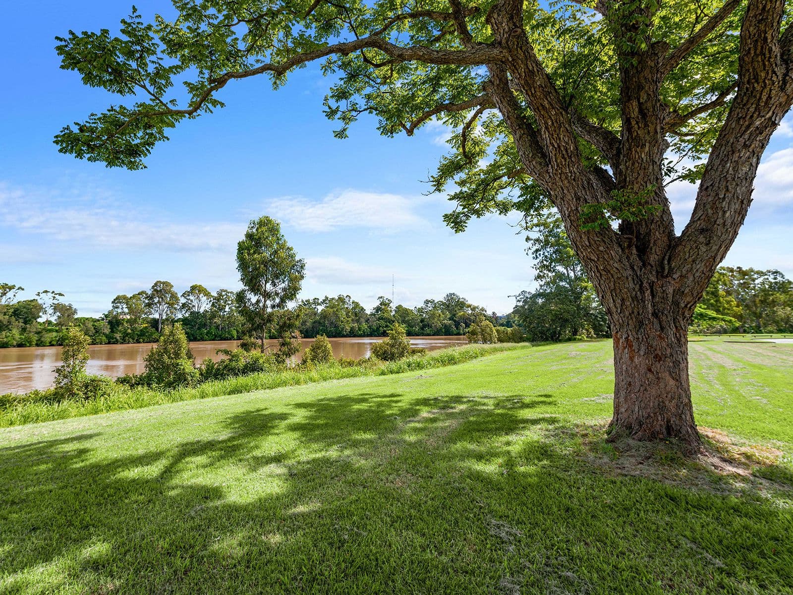 23 Esplanade, Yeronga QLD 4104, Yeronga - Thumbnail 7
