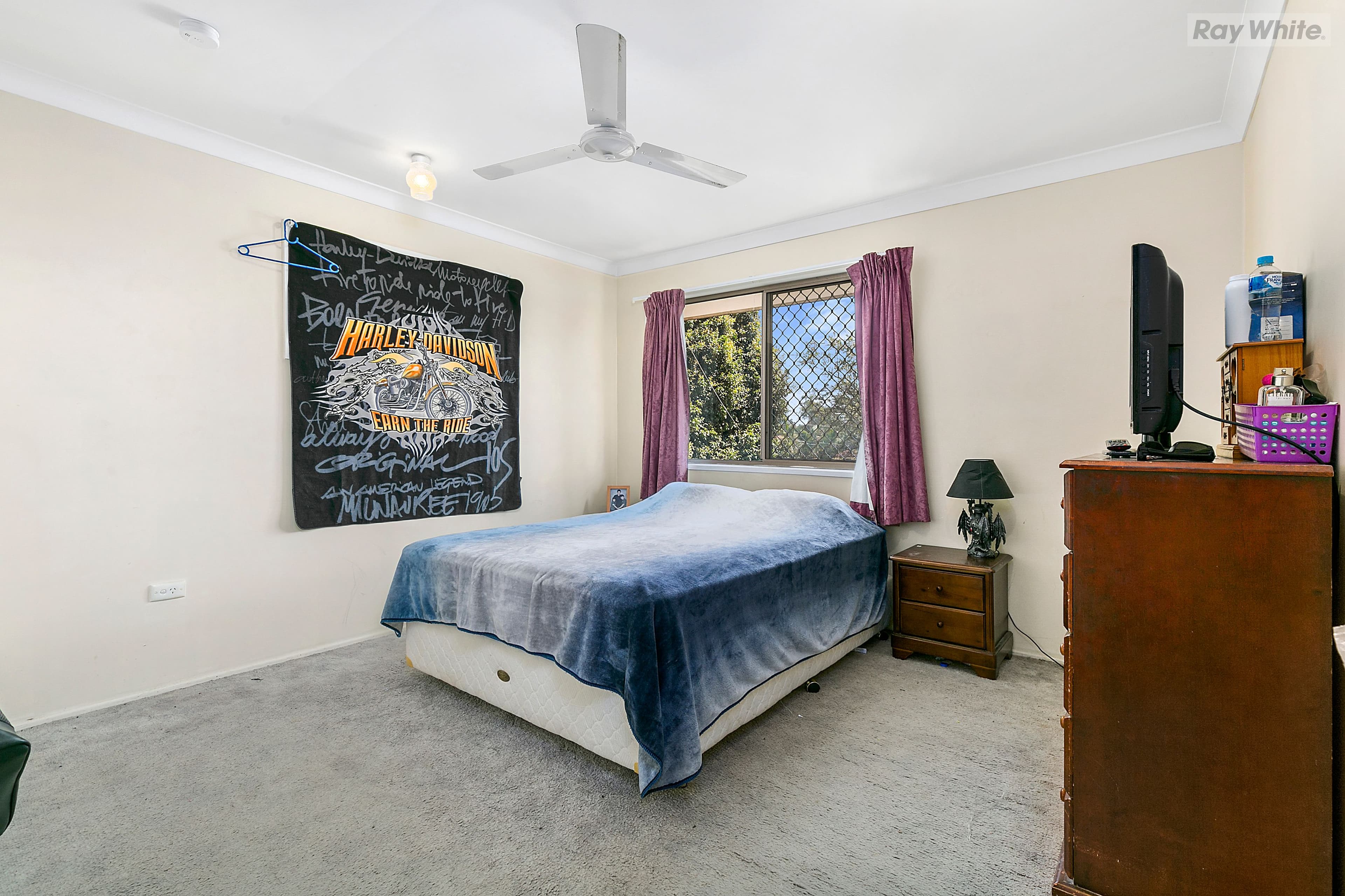 17 Reerden Street, Collingwood Park QLD 4301, Collingwood Park - Thumbnail 4