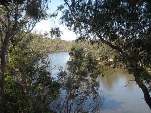 43A Seventh Avenue, BASSENDEAN WA 6054, Bassendean - Thumbnail 5