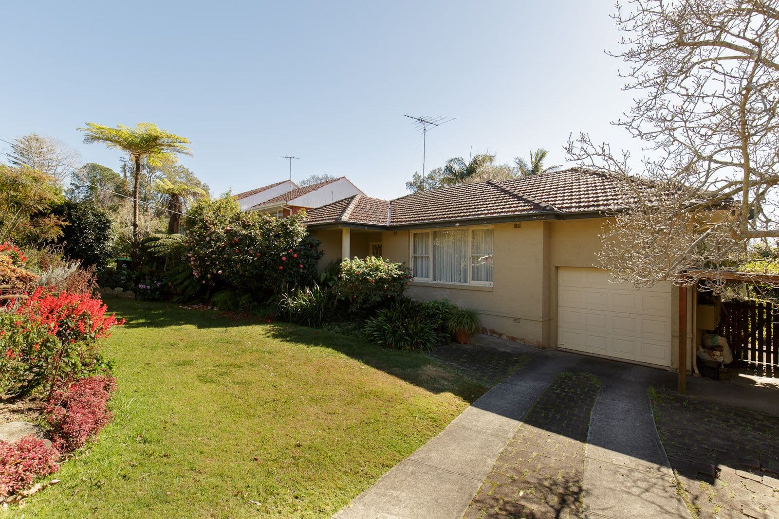 6 Holland Crescent, Frenchs Forest - Image 1