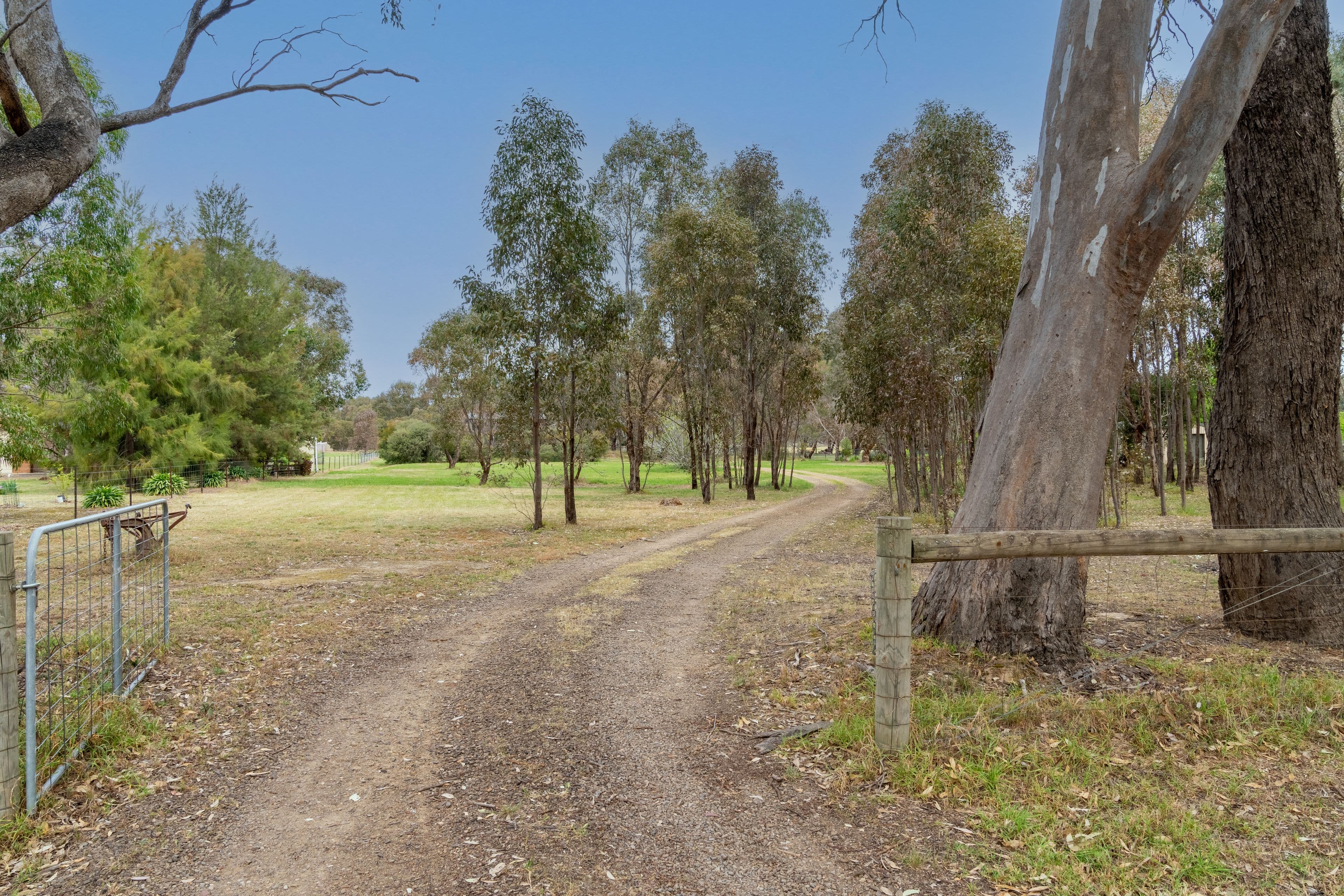 126 Boundary Rd South, Euroa VIC 3666, Euroa - Thumbnail 6