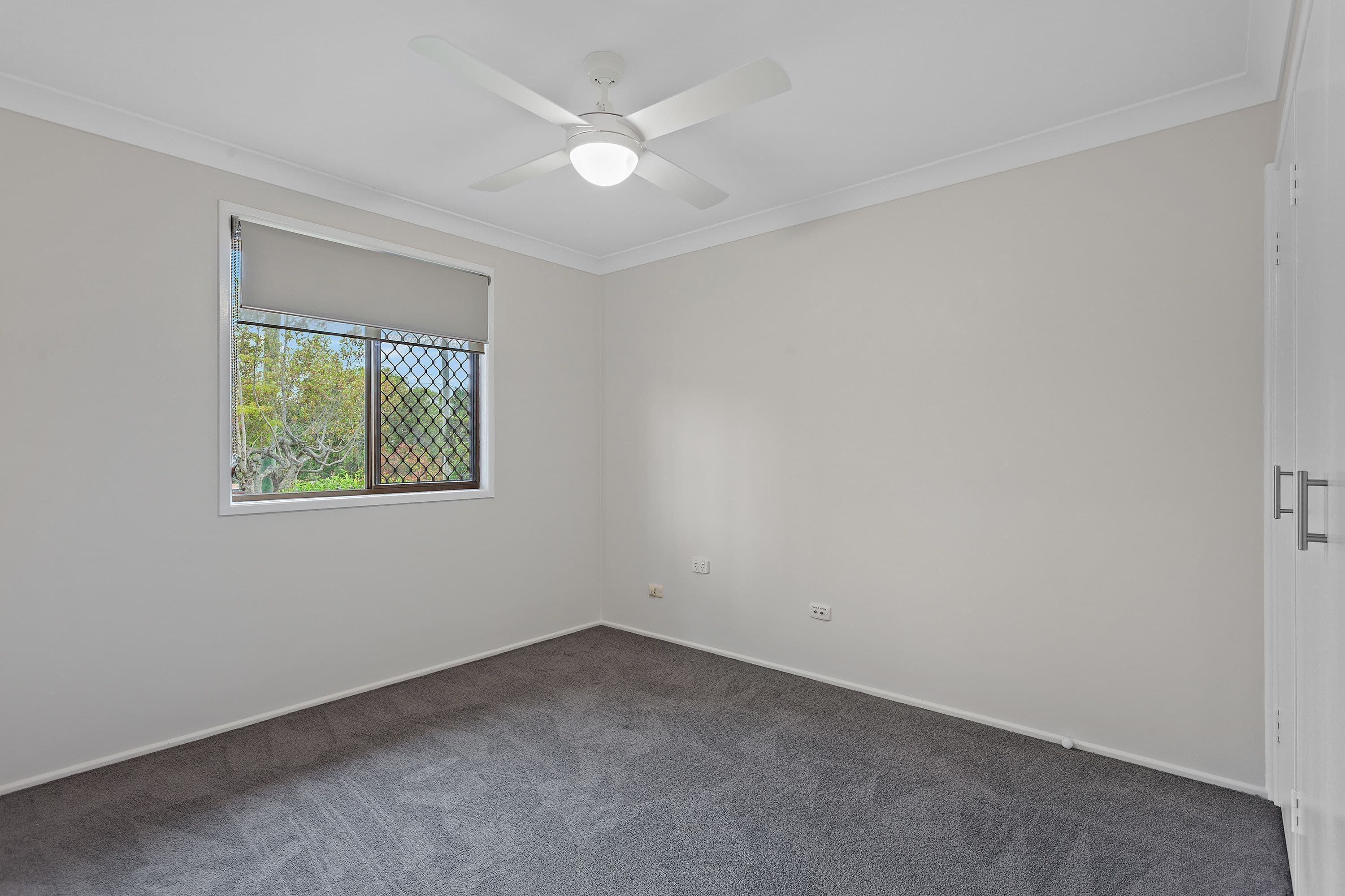 7 Lindemann Court, Wilsonton Heights QLD 4350, Wilsonton Heights - Thumbnail 5