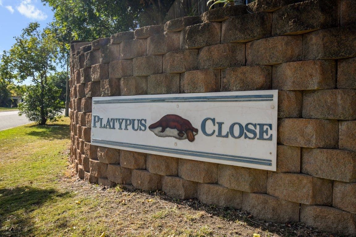 7 Platypus Close, Riverhills QLD 4074, Riverhills - Thumbnail 8