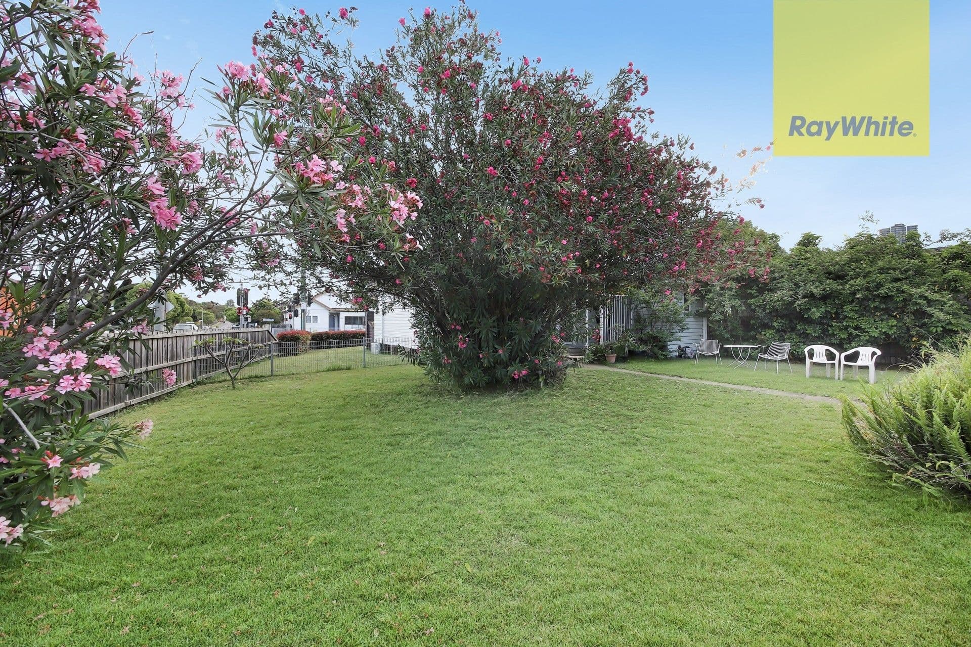 31 Hassall Street, Parramatta - Thumbnail 3