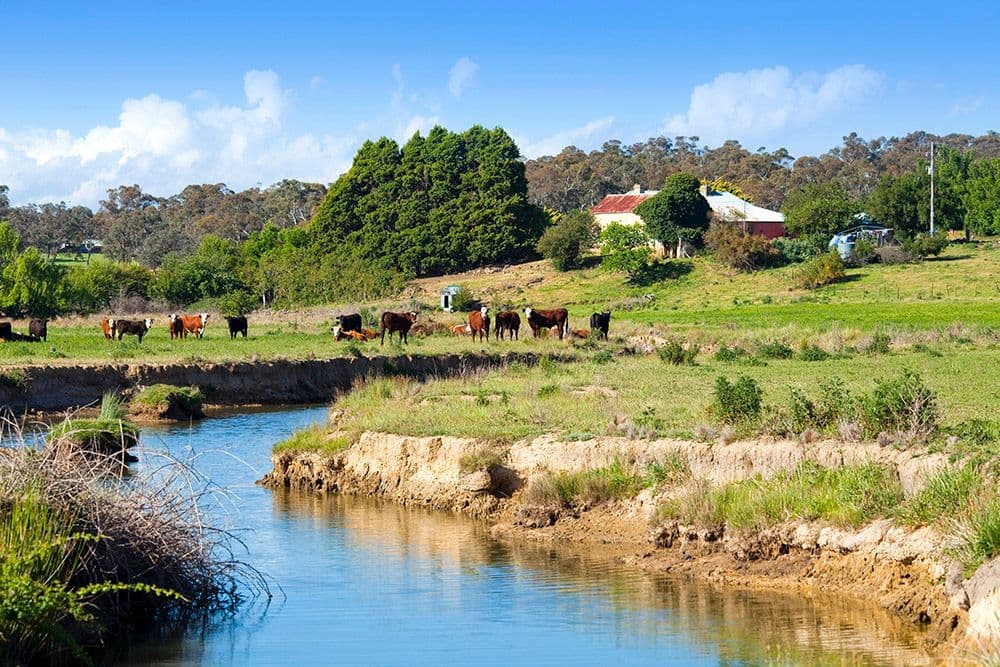 "wandi" Hume Highway, MARULAN NSW 2579, Marulan - Image 1