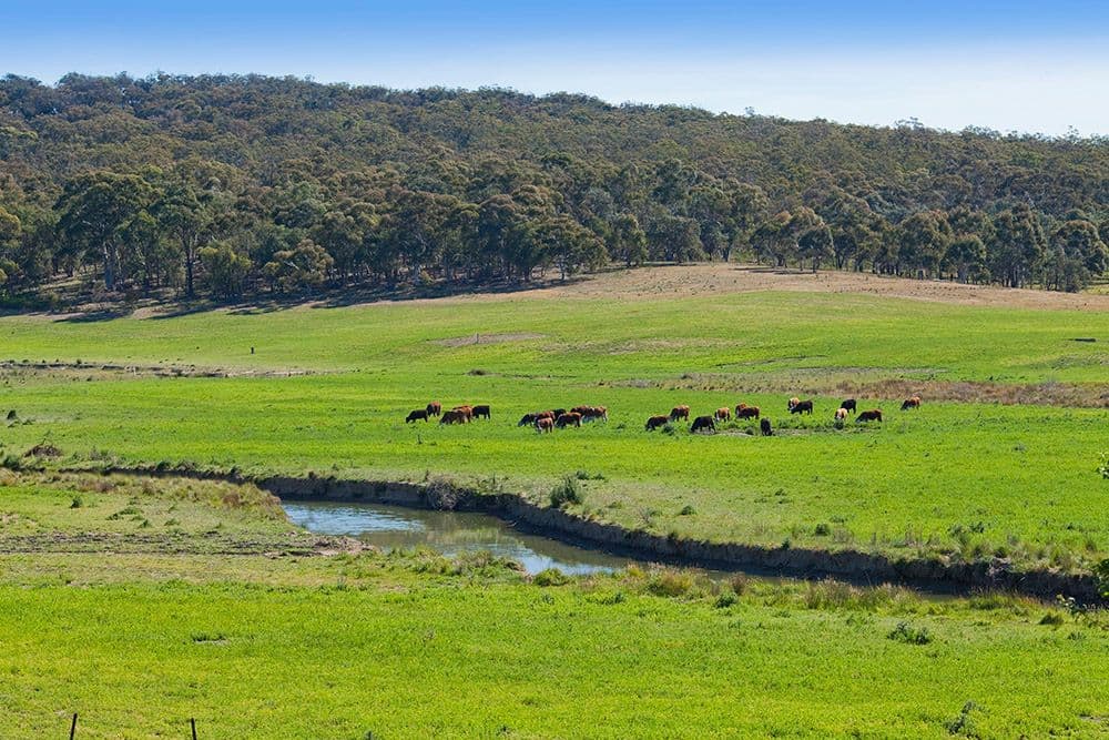 "wandi" Hume Highway, MARULAN NSW 2579, Marulan - Thumbnail 5