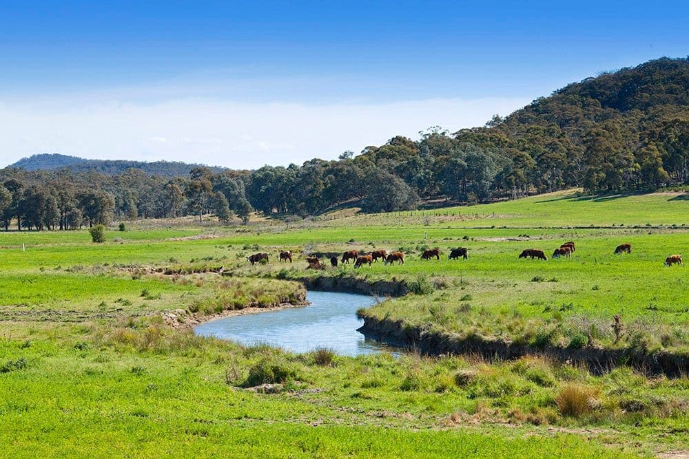 "wandi" Hume Highway, MARULAN NSW 2579, Marulan - Thumbnail 8