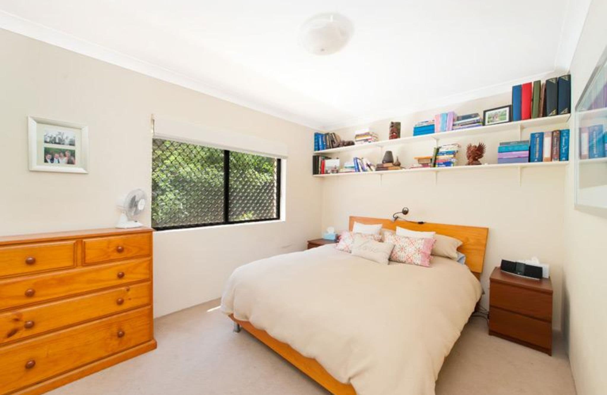 149 Todman Avenue, Kensington NSW 2033, Kensington - Thumbnail 6