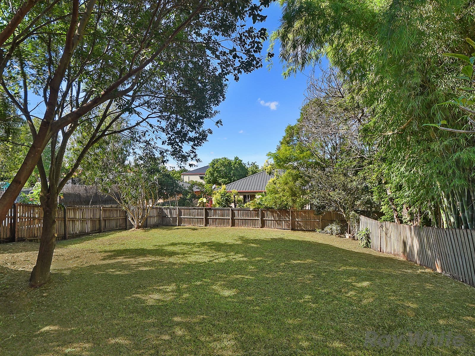 31 Agincourt Street, Grange QLD 4051, Grange - Thumbnail 5