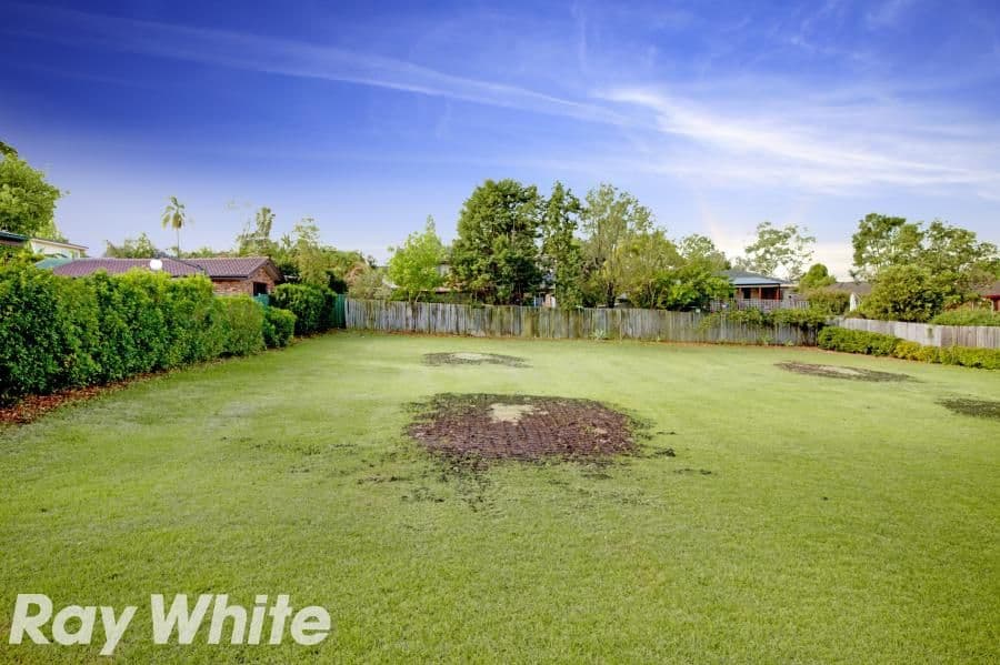52 Caroline Chisholm Drive, Winston Hills NSW 2153, Winston Hills - Thumbnail 4
