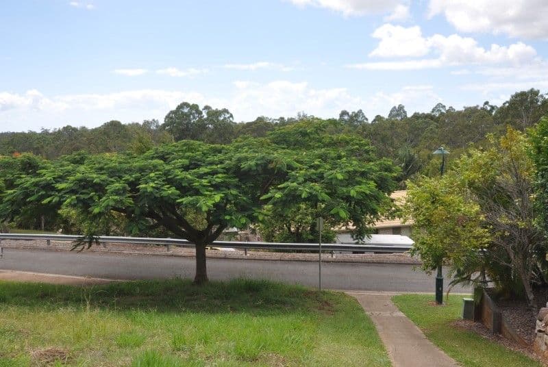 6 Boronia Outlook, NARANGBA QLD 4504, Narangba - Thumbnail 5
