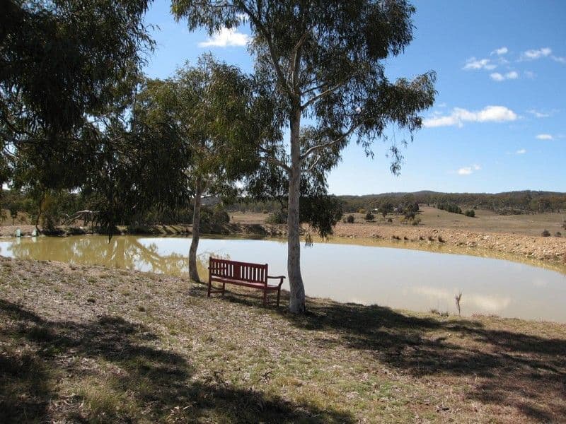 22 Reedy Creek Place, WAMBOIN NSW 2620, Wamboin - Thumbnail 5
