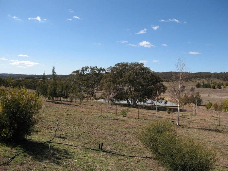 22 Reedy Creek Place, WAMBOIN NSW 2620, Wamboin - Thumbnail 6