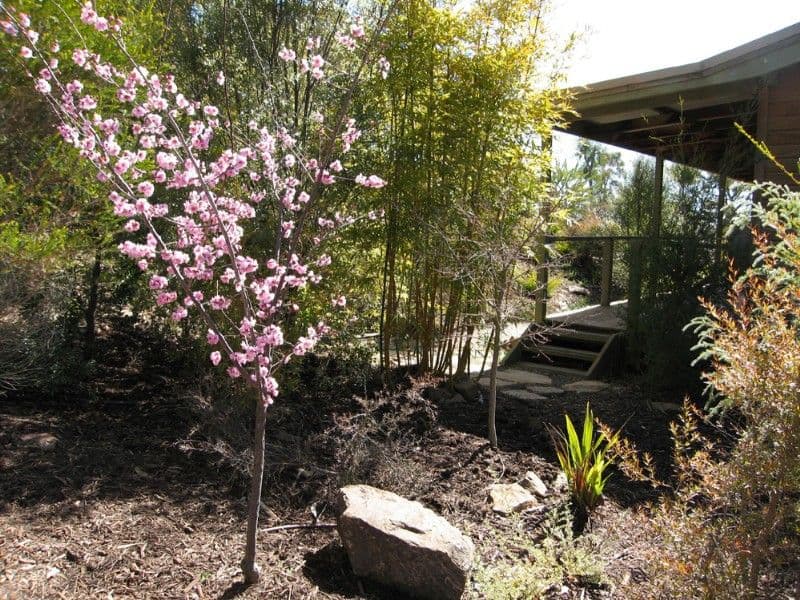 22 Reedy Creek Place, WAMBOIN NSW 2620, Wamboin - Thumbnail 7