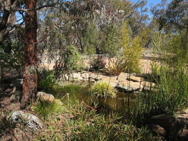 22 Reedy Creek Place, WAMBOIN NSW 2620, Wamboin - Thumbnail 8