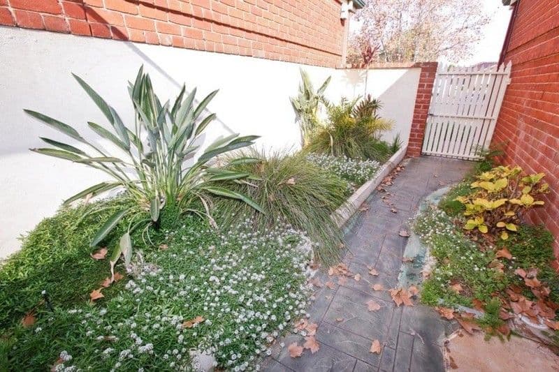 18 Langtree Parade, MILDURA VIC 3500, Mildura - Thumbnail 8