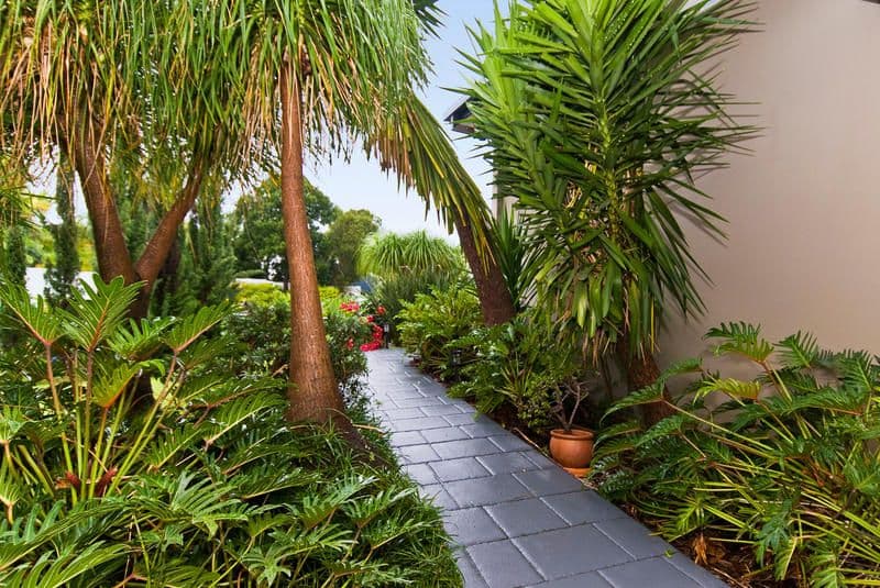 8 Banff Court, ROBINA QLD 4226, Robina - Thumbnail 7