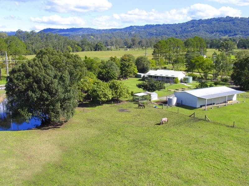 58 Old Bowling Green Road, PALMWOODS QLD 4555, Palmwoods - Image 1