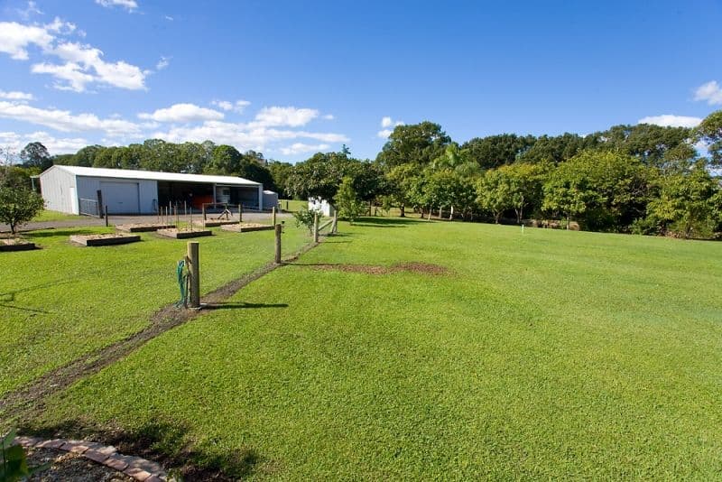 58 Old Bowling Green Road, PALMWOODS QLD 4555, Palmwoods - Thumbnail 4