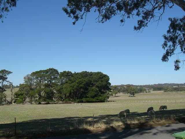 16A Barker Road, Mount Barker SA 5251, Mount Barker - Thumbnail 6