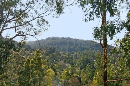 26  George Street, FERNTREE GULLY VIC 3156, Ferntree Gully - Thumbnail 6