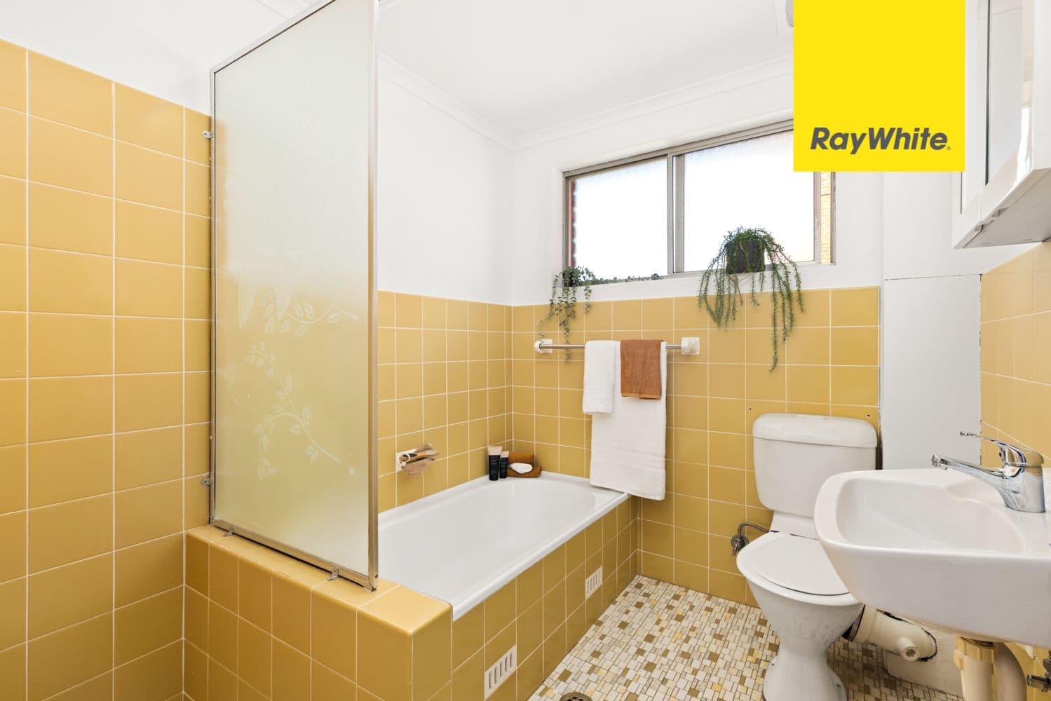 10 May Street, Eastwood NSW 2122, Eastwood - Thumbnail 5