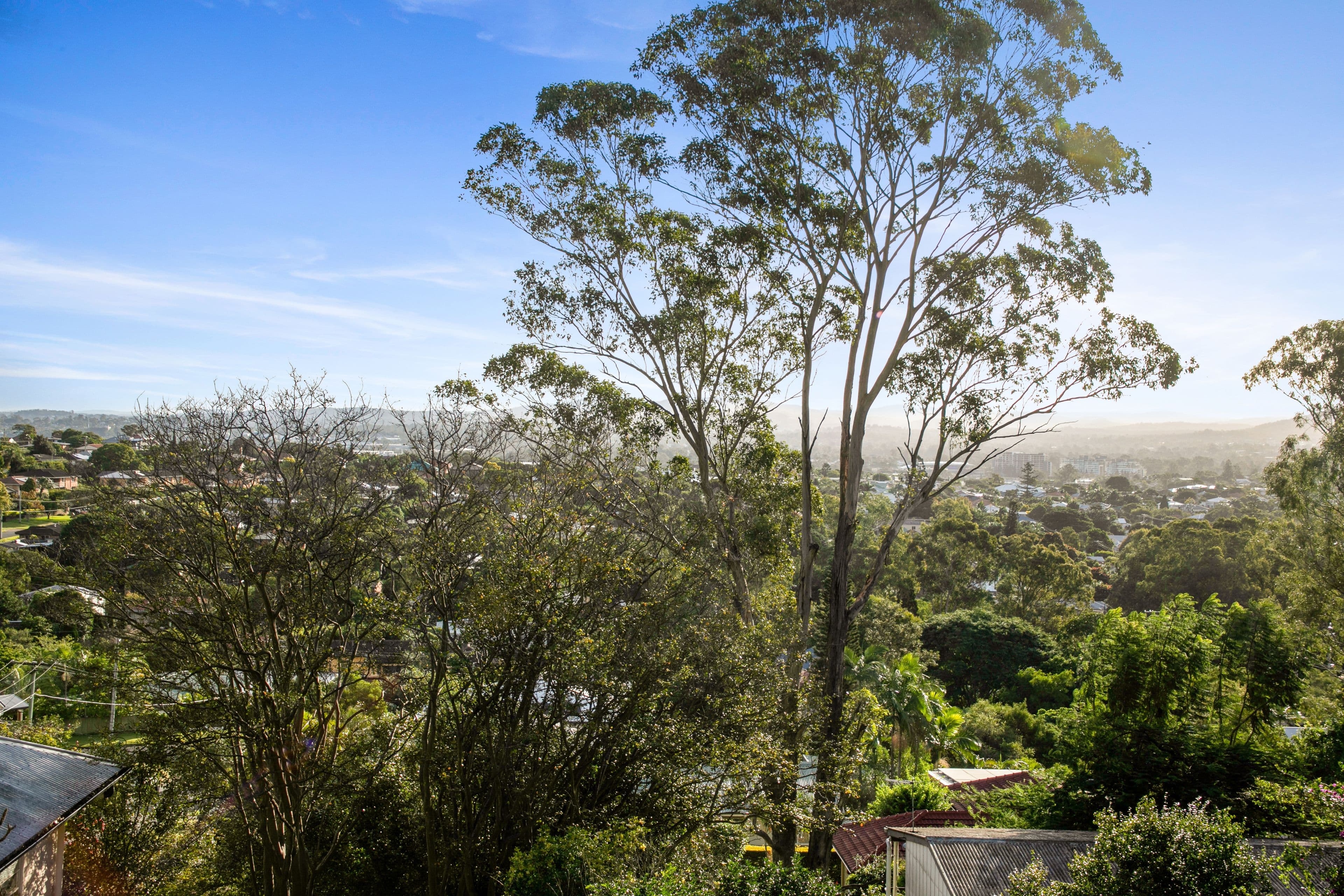 36 Barford Street, Moorooka QLD 4105, Moorooka - Thumbnail 3