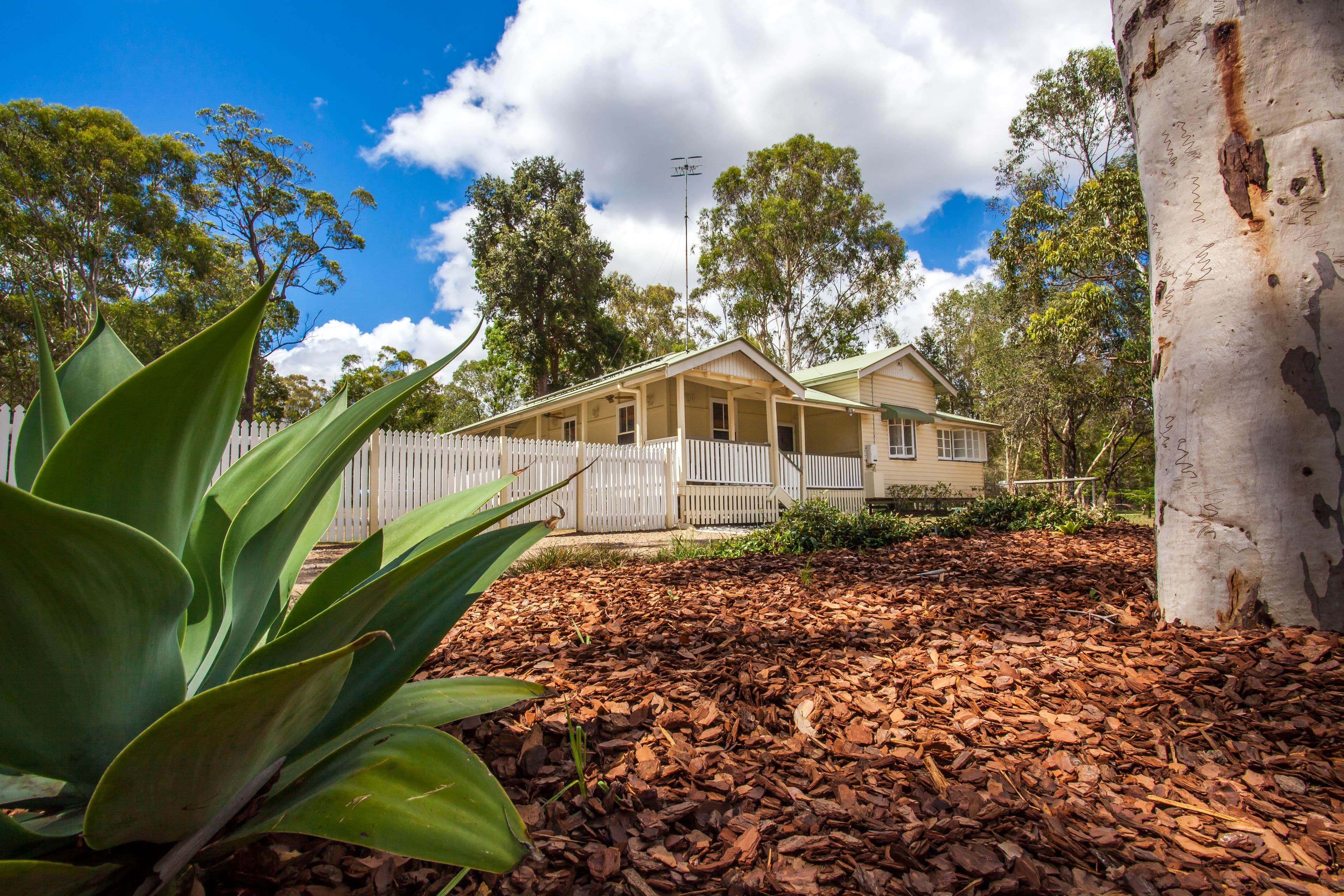 56 Carriage Way, Cooroibah QLD 4565, Cooroibah - Image 1