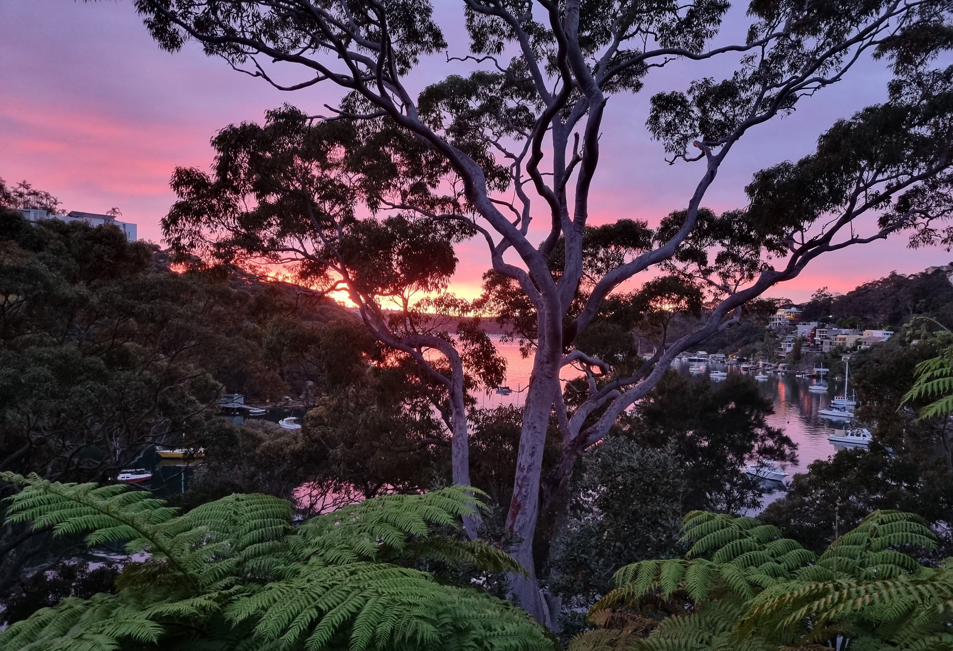 15 The Barricade, Castlecrag NSW 2068, Castlecrag - Thumbnail 7