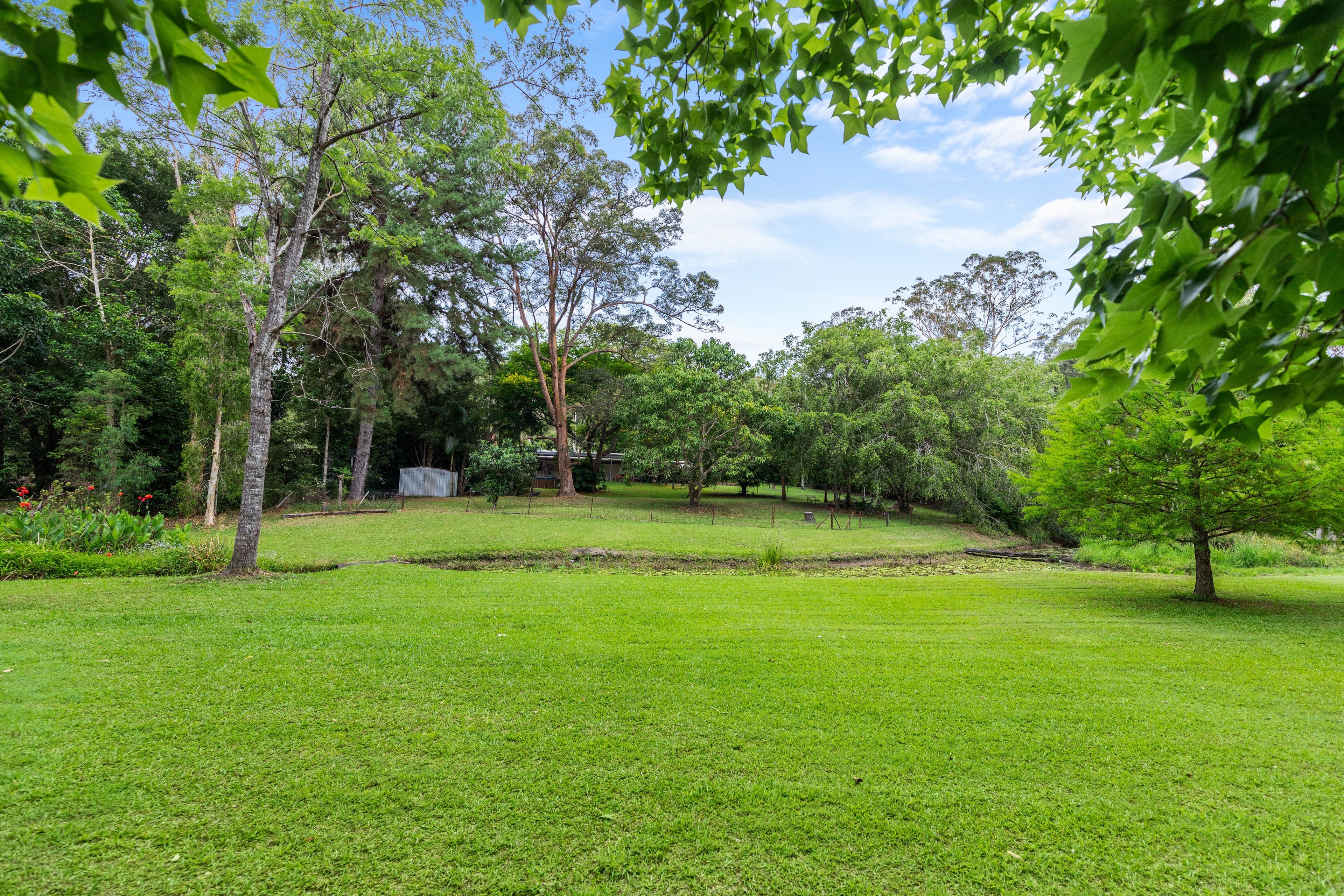 9 Woodlands Court, Mooloolah Valley QLD 4553, Mooloolah Valley - Thumbnail 3