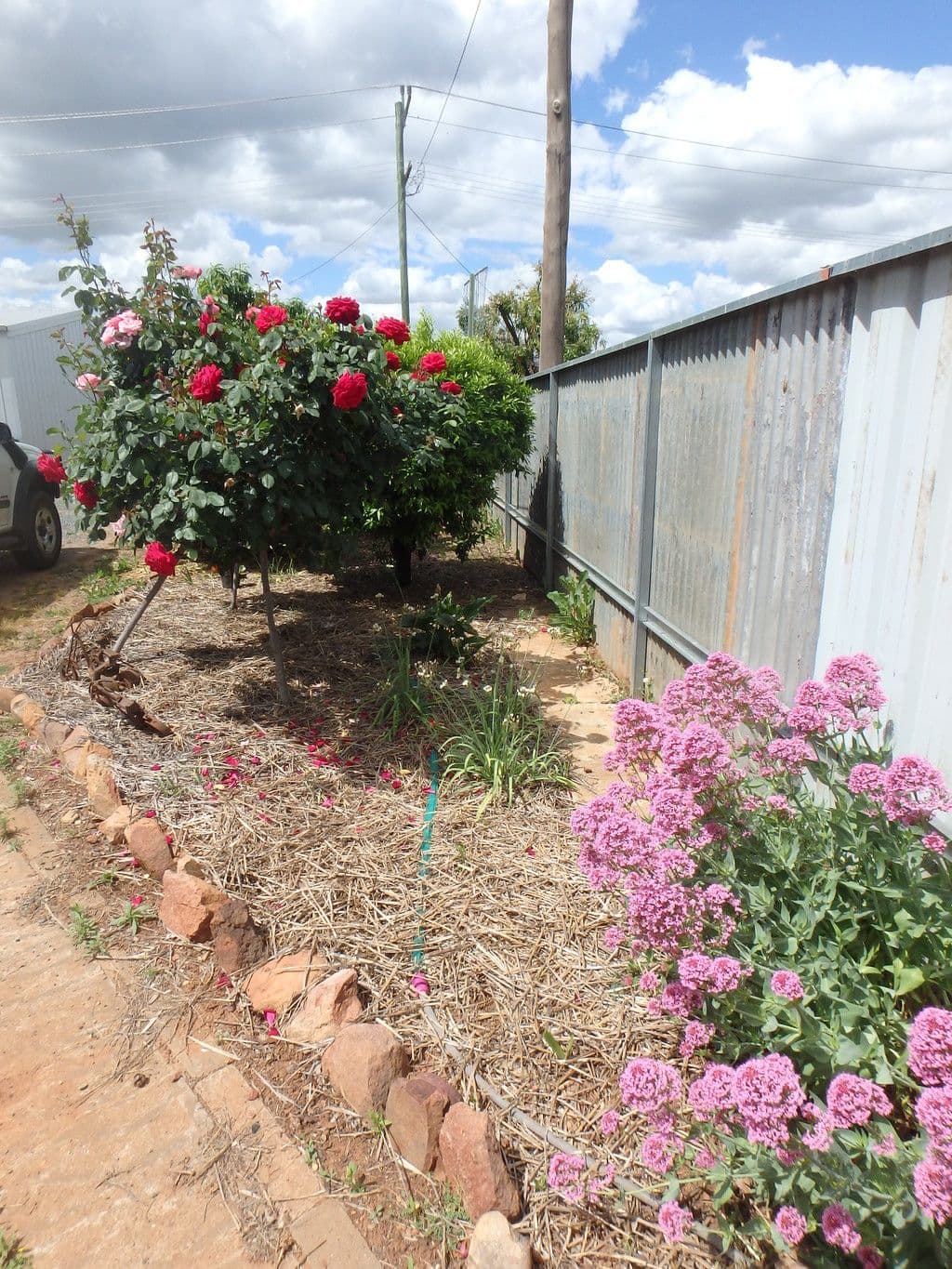 241 Hoskins Street, Temora - Thumbnail 8